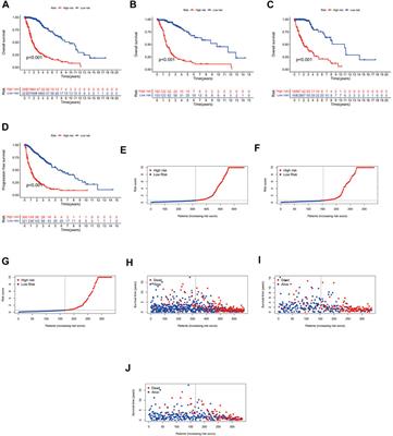 Bioinformatic profiling identifies the glutaminase to be a potential novel cuproptosis-related biomarker for glioma